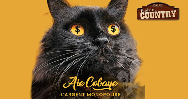 Aie cobaye l'argent monopolise 600 x315